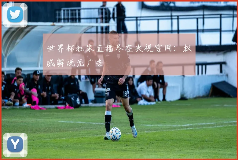 世界杯独家直播尽在央视官网：权威解说无广告